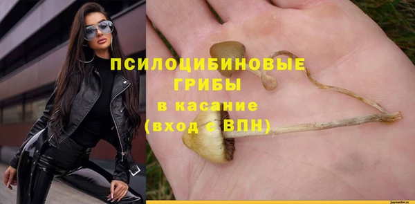 мескалин Богородск