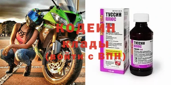 ПСИЛОЦИБИНОВЫЕ ГРИБЫ Богданович