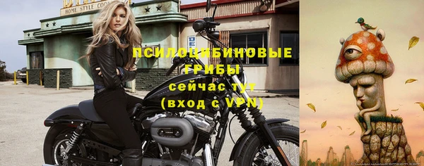 МДМА Богородицк