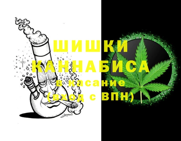 ПСИЛОЦИБИНОВЫЕ ГРИБЫ Богданович