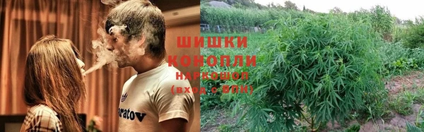 ПСИЛОЦИБИНОВЫЕ ГРИБЫ Богданович