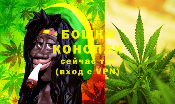 ПСИЛОЦИБИНОВЫЕ ГРИБЫ Богданович